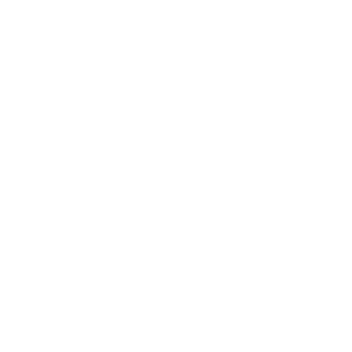 Shield Icon